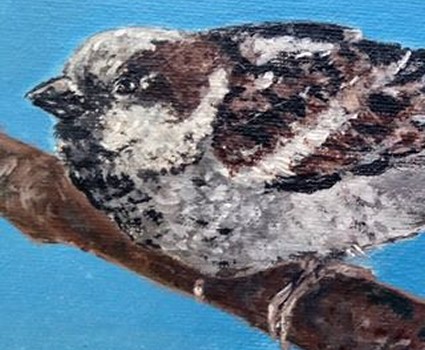 Sparrow